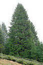 BUITEN BEELD Foto: 447677