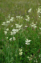 BUITEN BEELD Foto: 447678