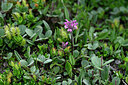 BUITEN BEELD Foto: 447686