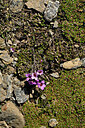 BUITEN BEELD Foto: 447688