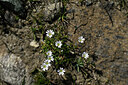 BUITEN BEELD Foto: 447692
