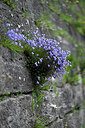 BUITEN BEELD Foto: 447699