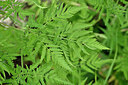 BUITEN BEELD Foto: 447700