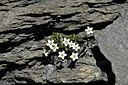 BUITEN BEELD Foto: 447702