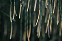 BUITEN BEELD Foto: 447703