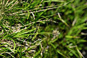 BUITEN BEELD Foto: 447704