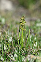 BUITEN BEELD Foto: 447705