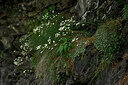 BUITEN BEELD Foto: 447713