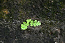 BUITEN BEELD Foto: 447714