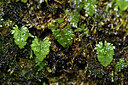 BUITEN BEELD Foto: 447719