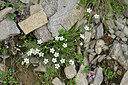 BUITEN BEELD Foto: 447722