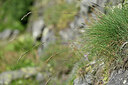 BUITEN BEELD Foto: 447725
