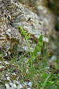 BUITEN BEELD Foto: 447729