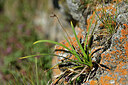 BUITEN BEELD Foto: 447732