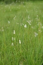 BUITEN BEELD Foto: 447734