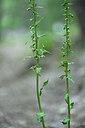 BUITEN BEELD Foto: 447738