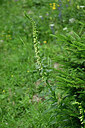 BUITEN BEELD Foto: 447741