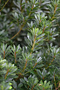 BUITEN BEELD Foto: 447743