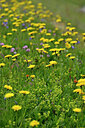 BUITEN BEELD Foto: 447746