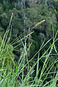 BUITEN BEELD Foto: 447747