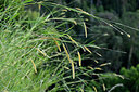 BUITEN BEELD Foto: 447750