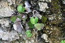 BUITEN BEELD Foto: 447754