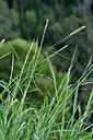 BUITEN BEELD Foto: 447755