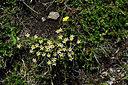 BUITEN BEELD Foto: 447758