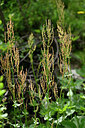 BUITEN BEELD Foto: 447761
