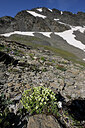 BUITEN BEELD Foto: 447762