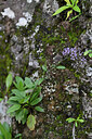 BUITEN BEELD Foto: 447764