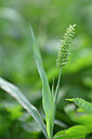 BUITEN BEELD Foto: 447765