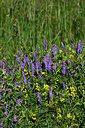 BUITEN BEELD Foto: 447767