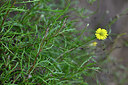 BUITEN BEELD Foto: 447768
