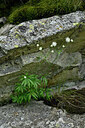 BUITEN BEELD Foto: 447770