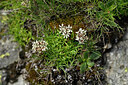 BUITEN BEELD Foto: 447771
