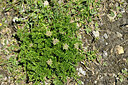BUITEN BEELD Foto: 447774