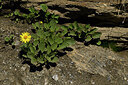 BUITEN BEELD Foto: 447776