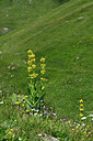 BUITEN BEELD Foto: 447777