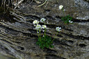 BUITEN BEELD Foto: 447786