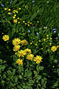 BUITEN BEELD Foto: 447794