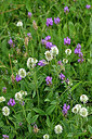 BUITEN BEELD Foto: 447795