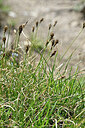 BUITEN BEELD Foto: 447796