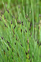 BUITEN BEELD Foto: 447799