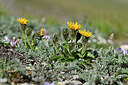 BUITEN BEELD Foto: 447805