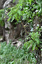 BUITEN BEELD Foto: 447813