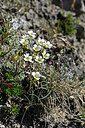 BUITEN BEELD Foto: 447816