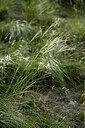 BUITEN BEELD Foto: 447818