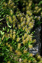 BUITEN BEELD Foto: 447819