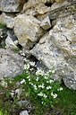 BUITEN BEELD Foto: 447820